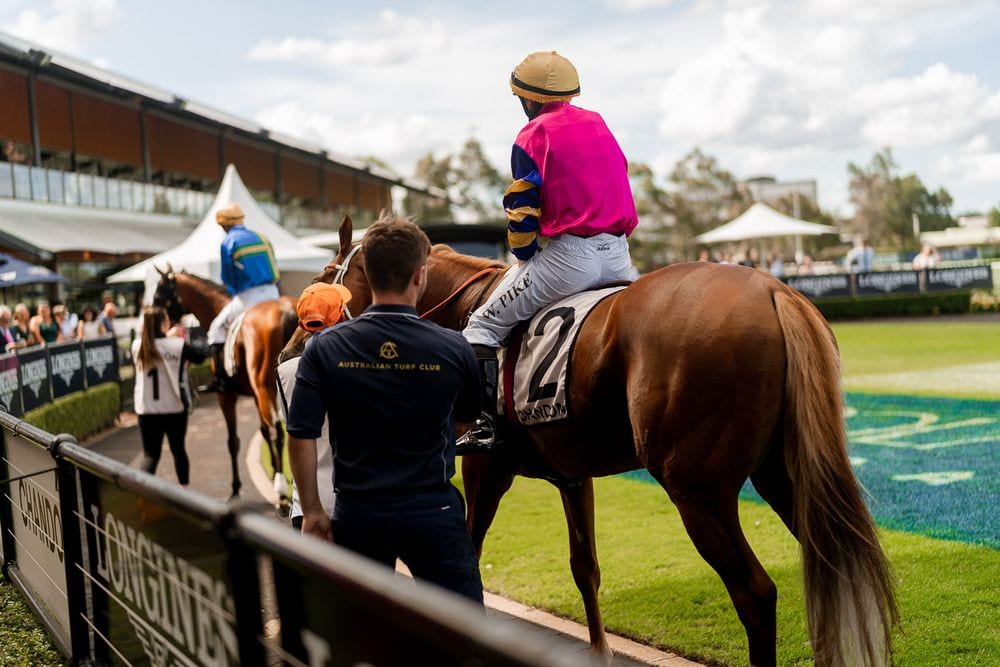 A jockey in pink silks rides a chestnut racehorse led by an Australian Turf Club strapper past Chandon and Longines signage at Rosehill Gardens.